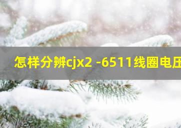 怎样分辨cjx2 -6511线圈电压